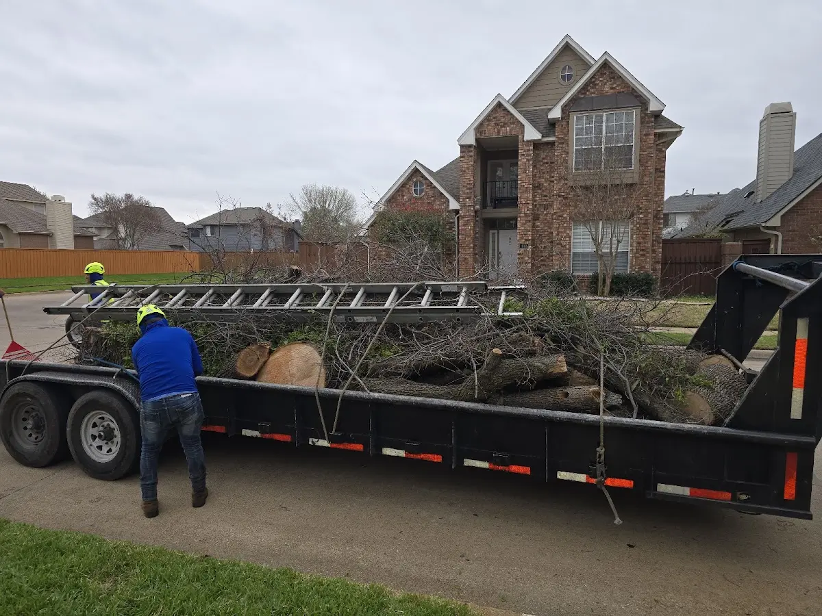 Expert Tree Fertilization with proper safety equipment in Swanton
